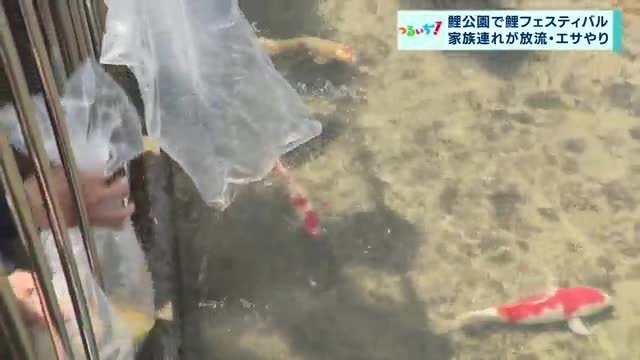 2025/5/5放送分