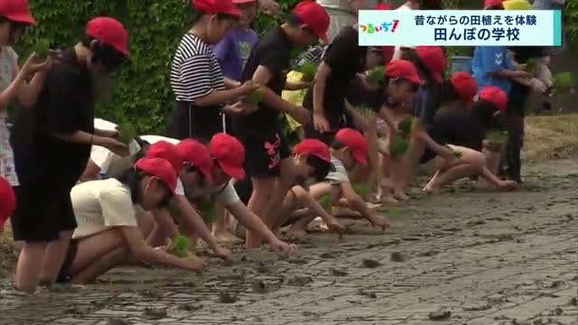 2025/5/19放送分